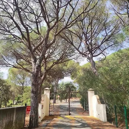 Villa Superbe Climatisee Dans Parc Prive, Piscine